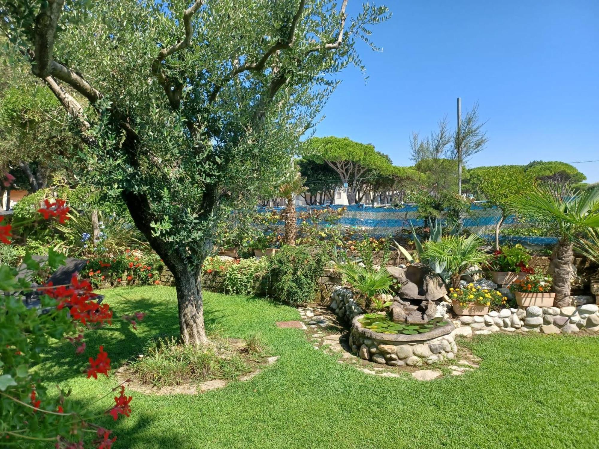 Hotel Vina Del Mar Pineta Lido di Jesolo Buitenkant foto