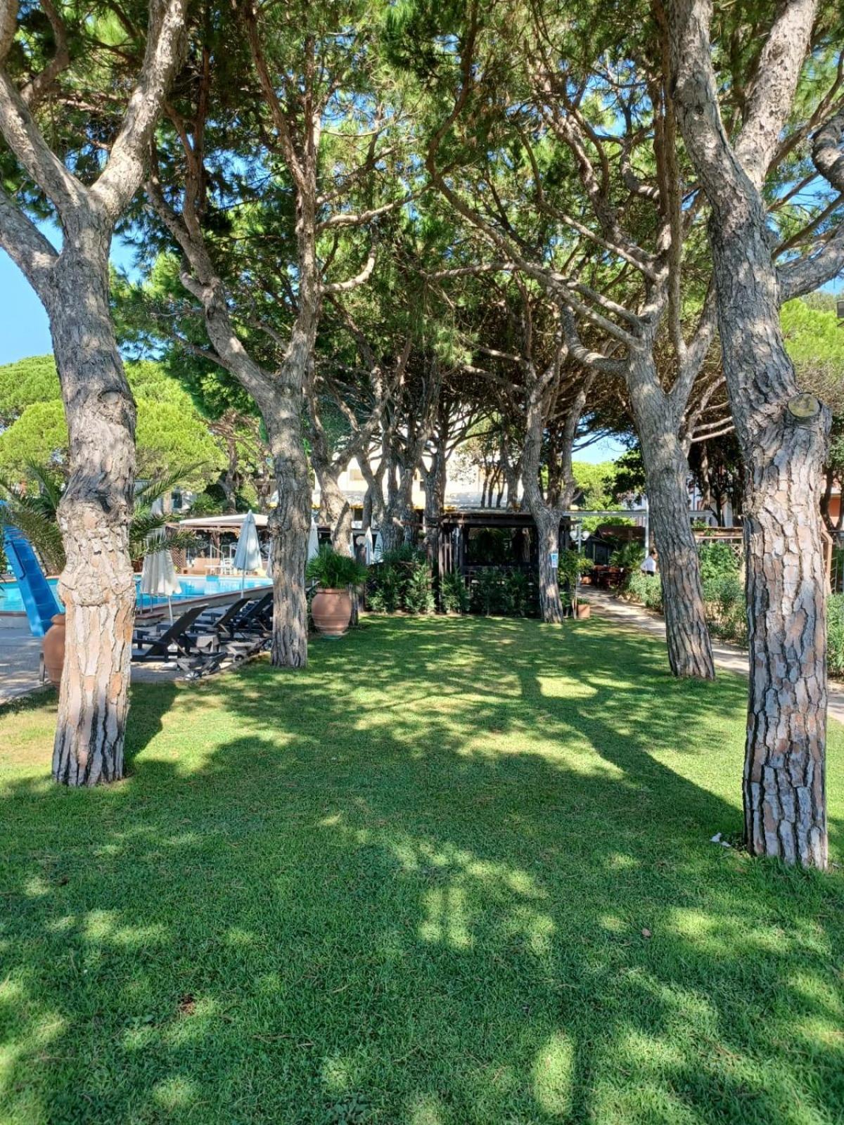 Hotel Vina Del Mar Pineta Lido di Jesolo Buitenkant foto